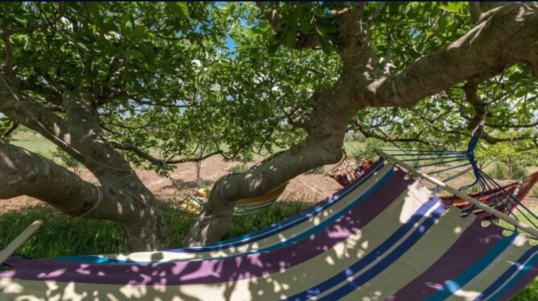 Le Cernicole Villa Melissano Esterno foto