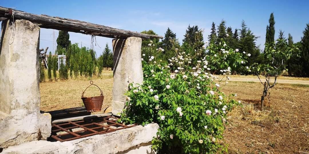 Le Cernicole Villa Melissano Esterno foto